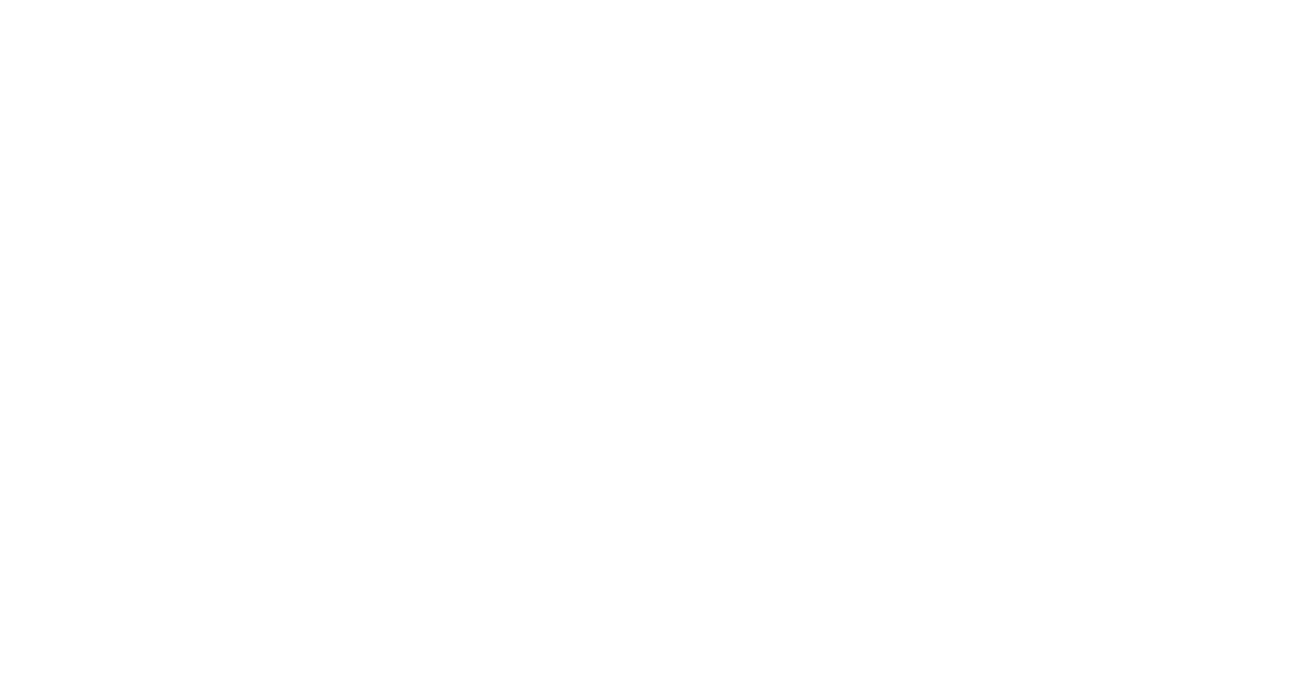 PSD Zone Logo White