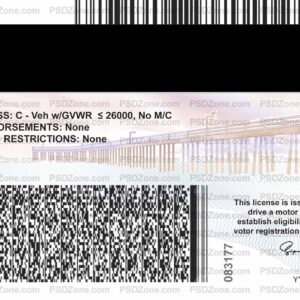California Drivers License Template Back
